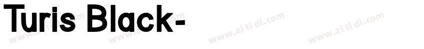 Turis Black字体转换 Turis Black字体转换